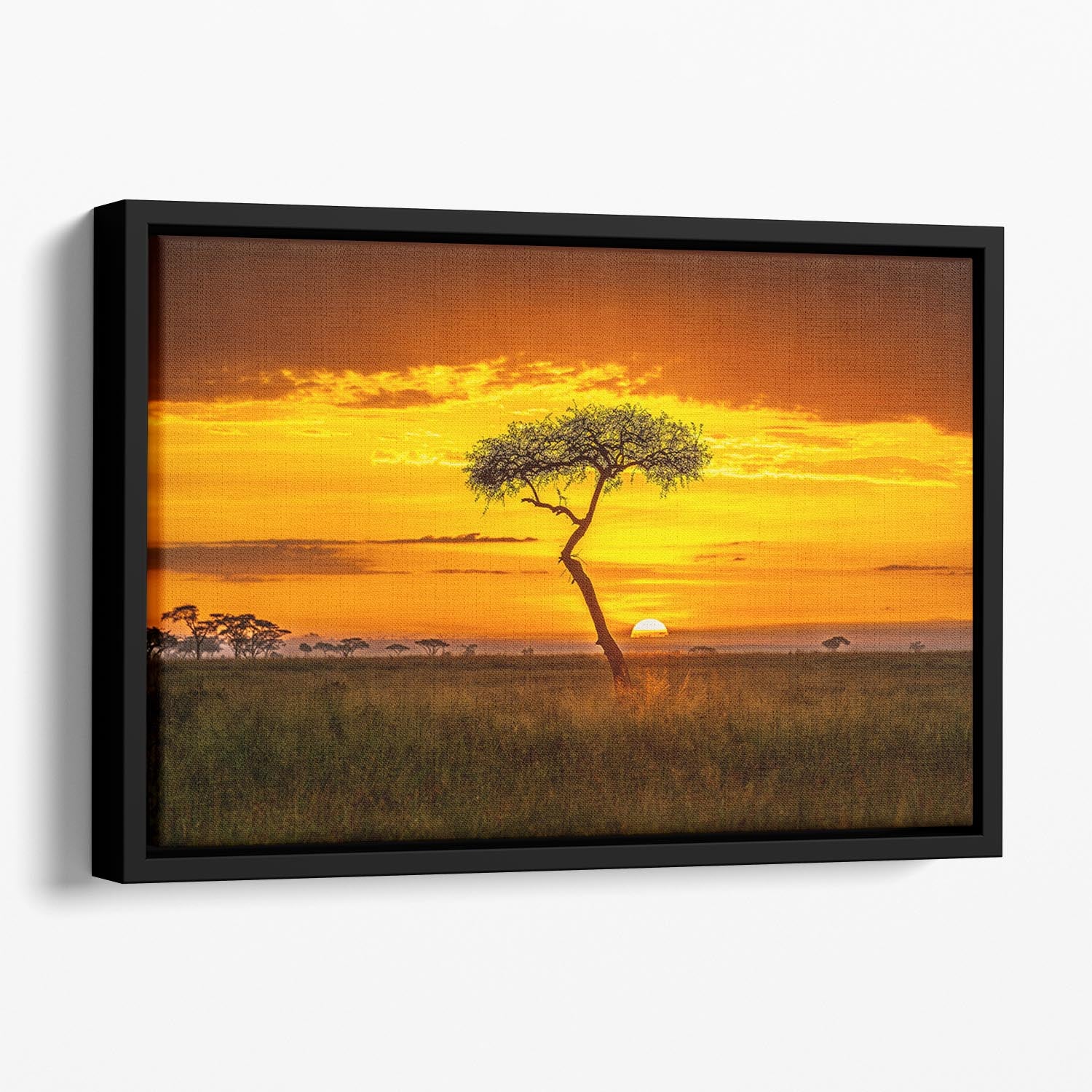 Primordial Africa Floating Framed Canvas - Canvas Art Rocks - 1