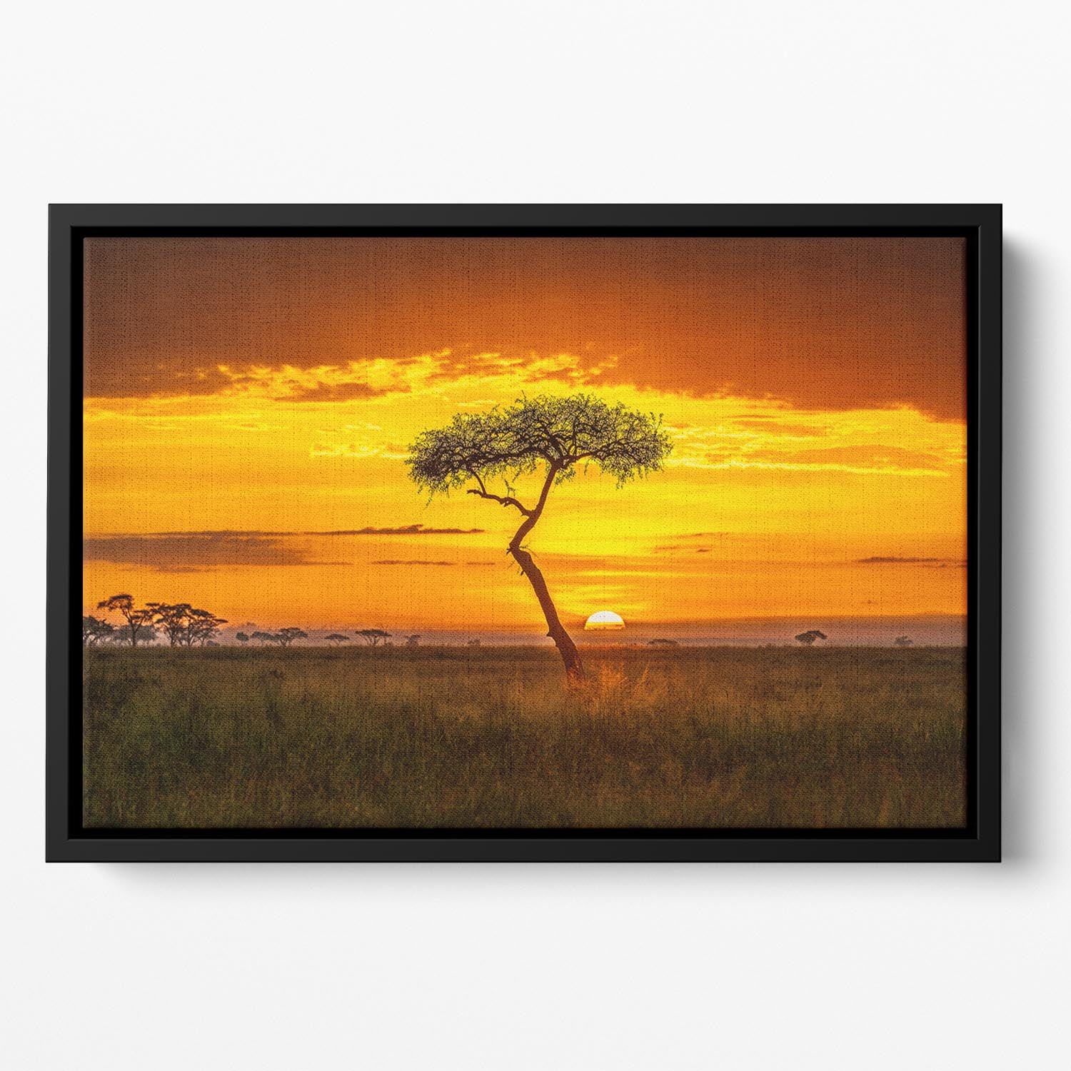 Primordial Africa Floating Framed Canvas - Canvas Art Rocks - 2