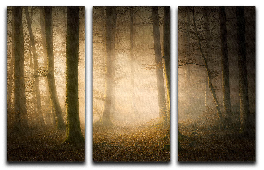 November Whispers 3 Split Panel Canvas Print - Canvas Art Rocks - 1