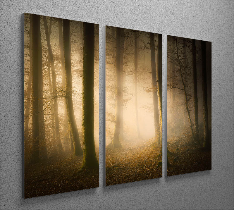November Whispers 3 Split Panel Canvas Print - Canvas Art Rocks - 2