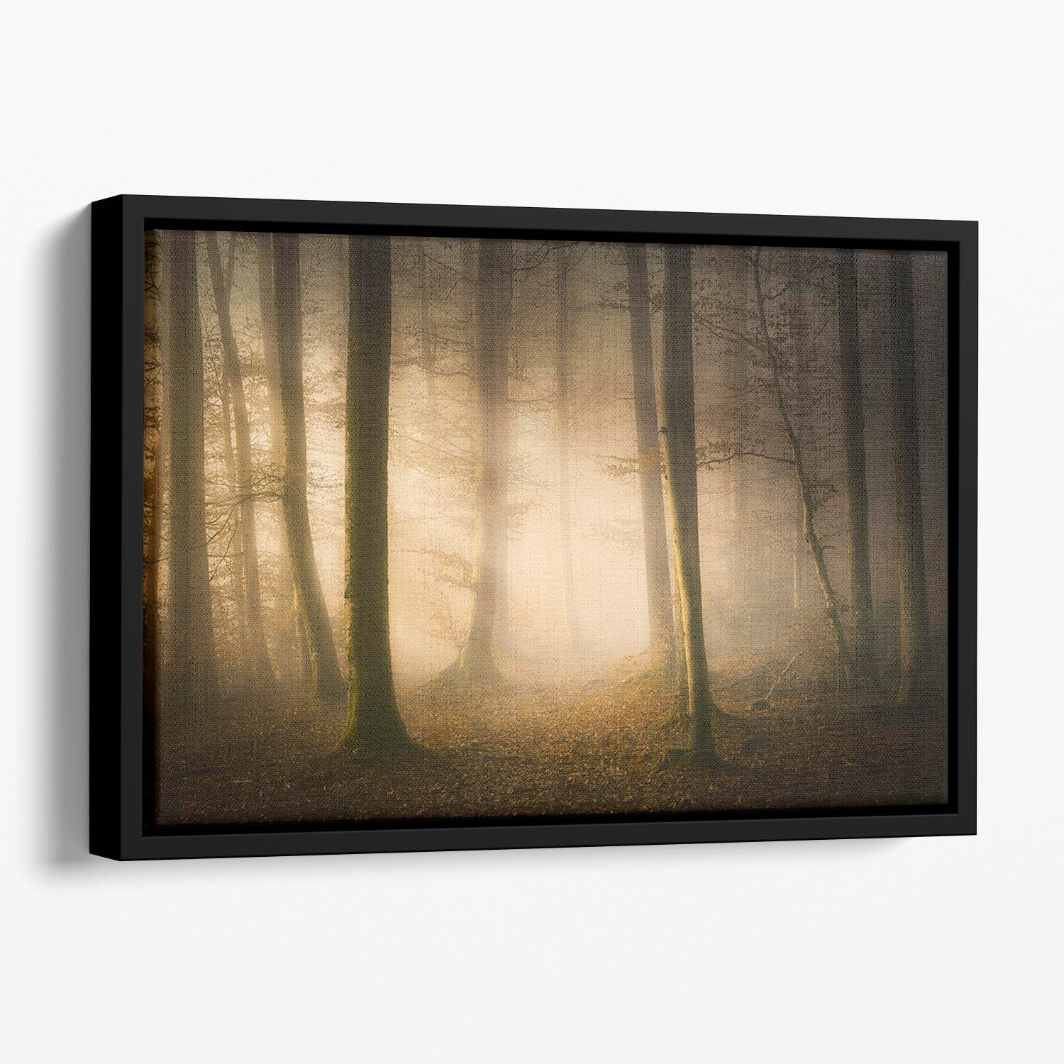 November Whispers Floating Framed Canvas - Canvas Art Rocks - 1