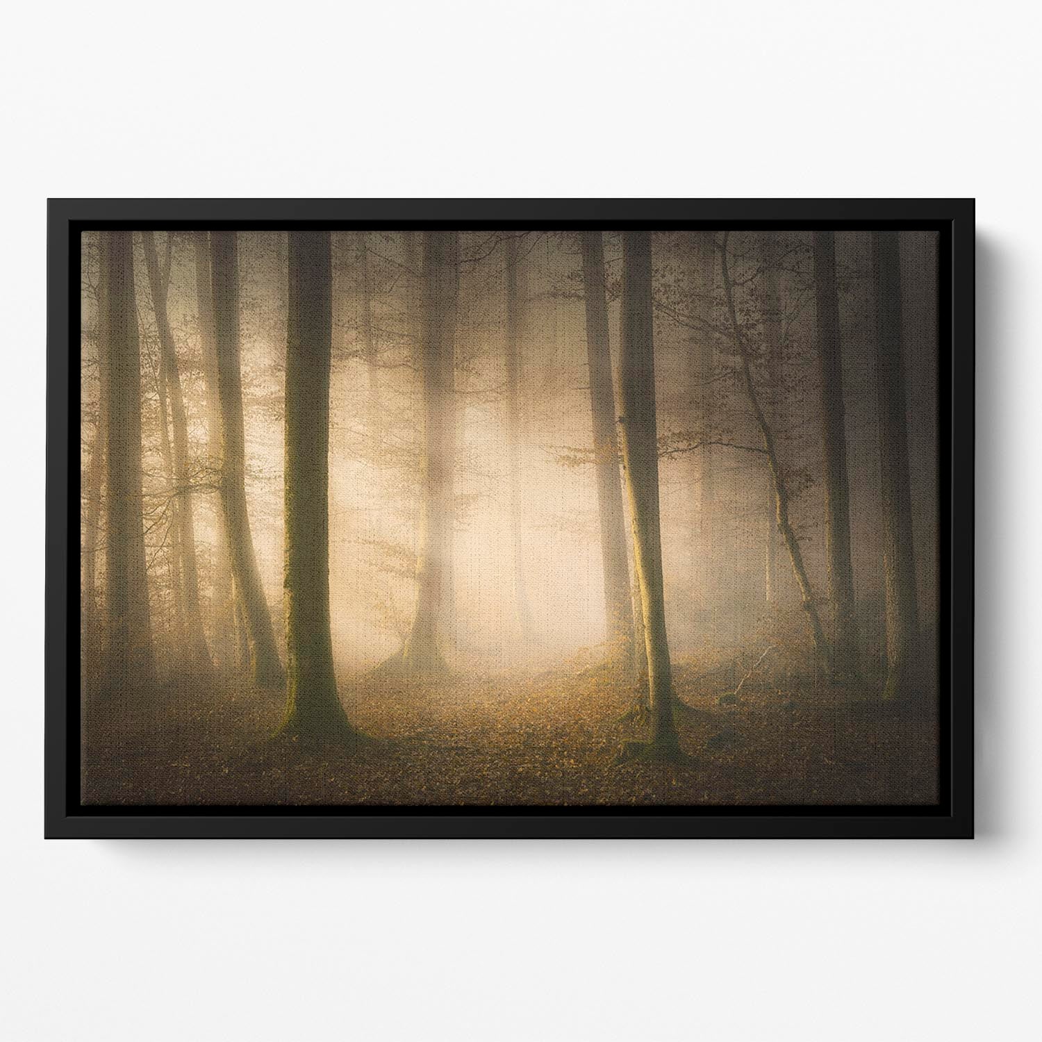 November Whispers Floating Framed Canvas - Canvas Art Rocks - 2