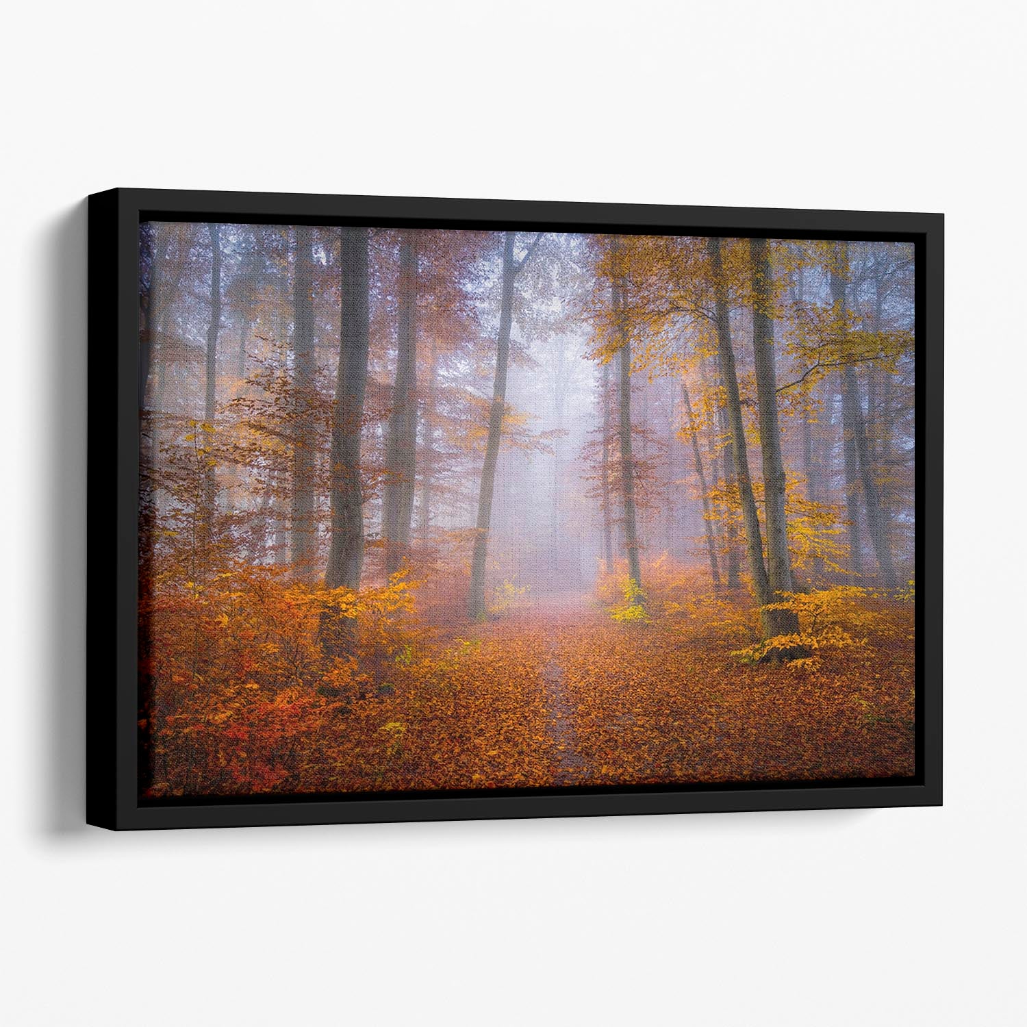 October Trail Floating Framed Canvas - Canvas Art Rocks - 1