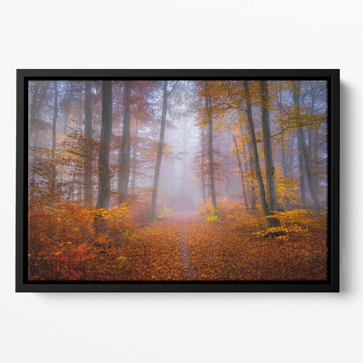 October Trail Floating Framed Canvas - Canvas Art Rocks - 2