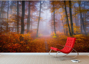 October Trail Wall Mural Wallpaper - Canvas Art Rocks - 2