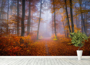 October Trail Wall Mural Wallpaper - Canvas Art Rocks - 4