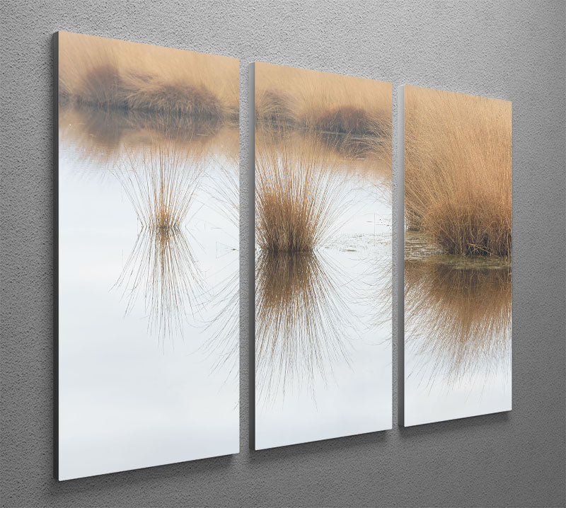 Piping Straw 3 Split Panel Canvas Print - Canvas Art Rocks - 2