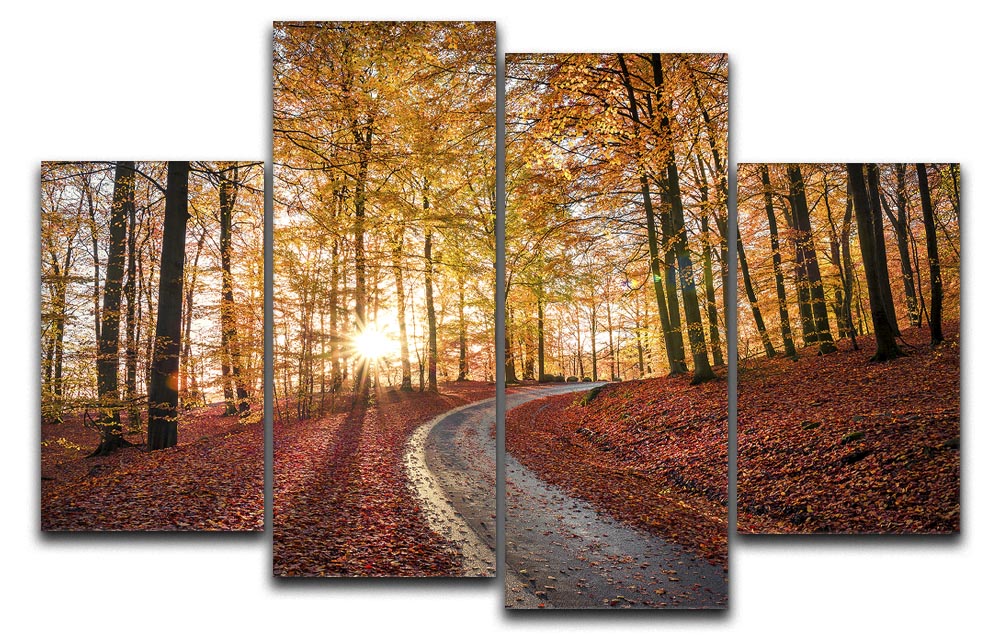 Road In Sapderaysen Nationalpark Sweden 4 Split Panel Canvas - Canvas Art Rocks - 1