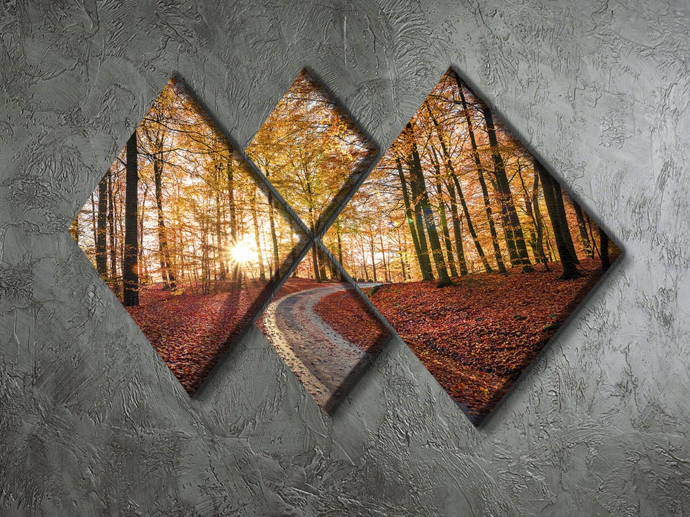 Road In Sapderaysen Nationalpark Sweden 4 Square Multi Panel Canvas - Canvas Art Rocks - 2