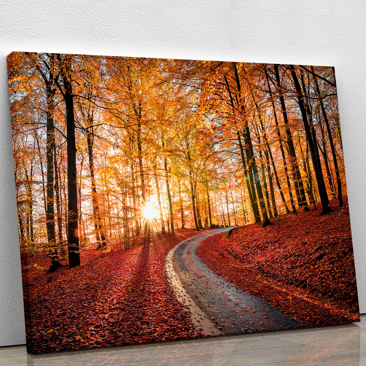 Road In Sapderaysen Nationalpark Sweden Canvas Print or Poster - Canvas Art Rocks - 1