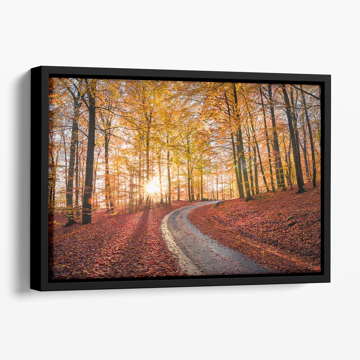 Road In Sapderaysen Nationalpark Sweden Floating Framed Canvas - Canvas Art Rocks - 1