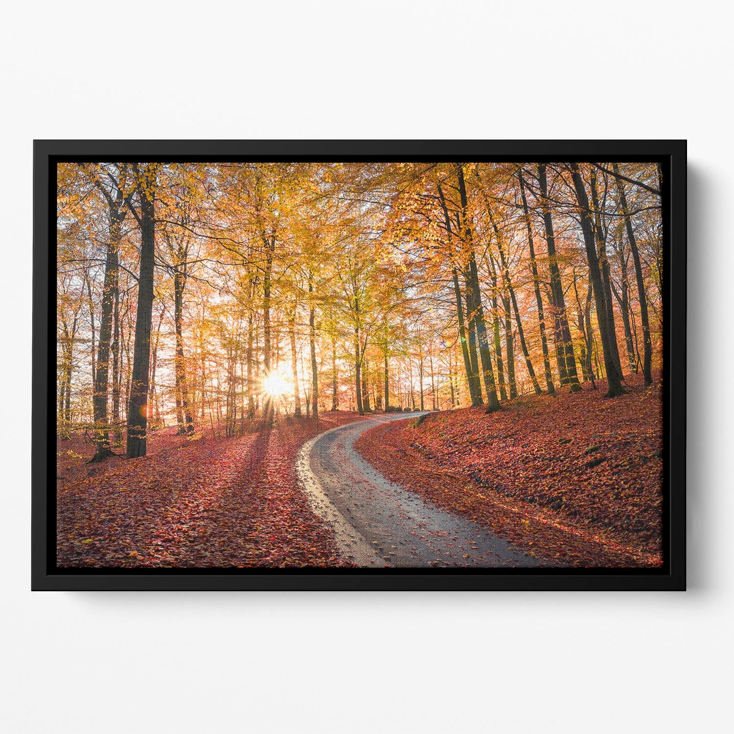 Road In Sapderaysen Nationalpark Sweden Floating Framed Canvas - Canvas Art Rocks - 2