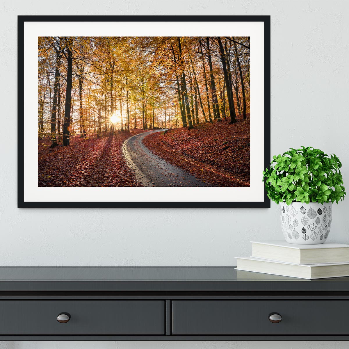 Road In Sapderaysen Nationalpark Sweden Framed Print - Canvas Art Rocks - 1