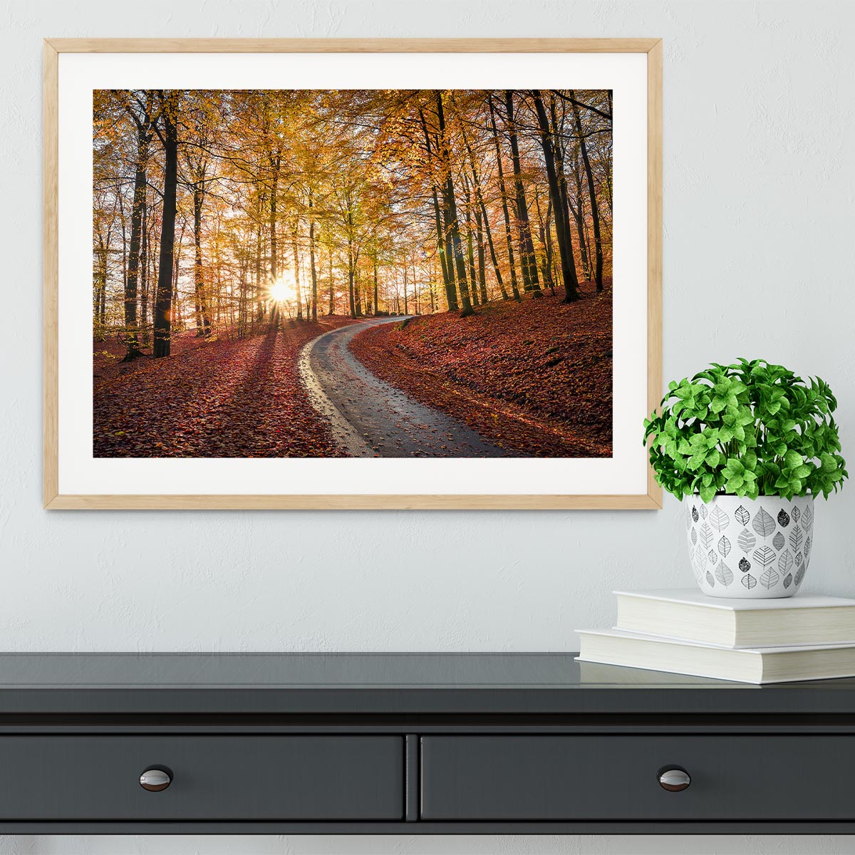 Road In Sapderaysen Nationalpark Sweden Framed Print - Canvas Art Rocks - 3