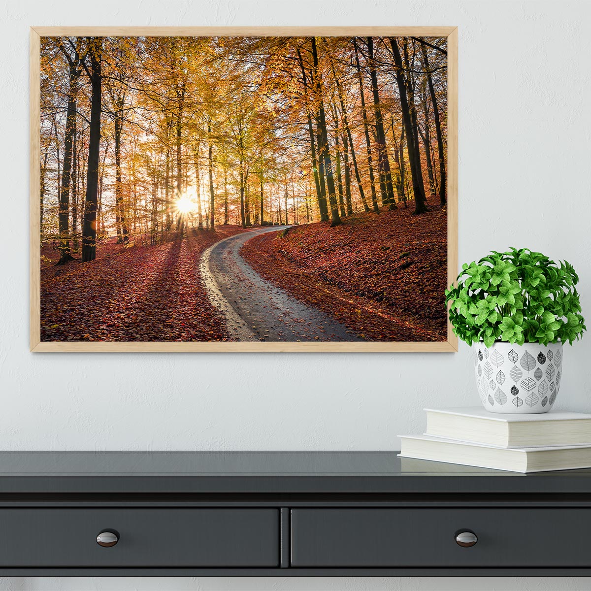 Road In Sapderaysen Nationalpark Sweden Framed Print - Canvas Art Rocks - 4