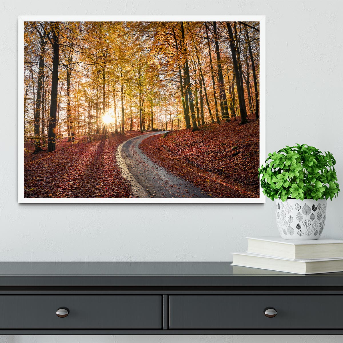 Road In Sapderaysen Nationalpark Sweden Framed Print - Canvas Art Rocks -6