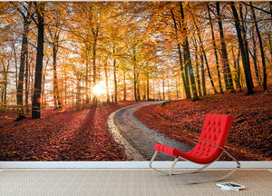 Road In Sapderaysen Nationalpark Sweden Wall Mural Wallpaper - Canvas Art Rocks - 2