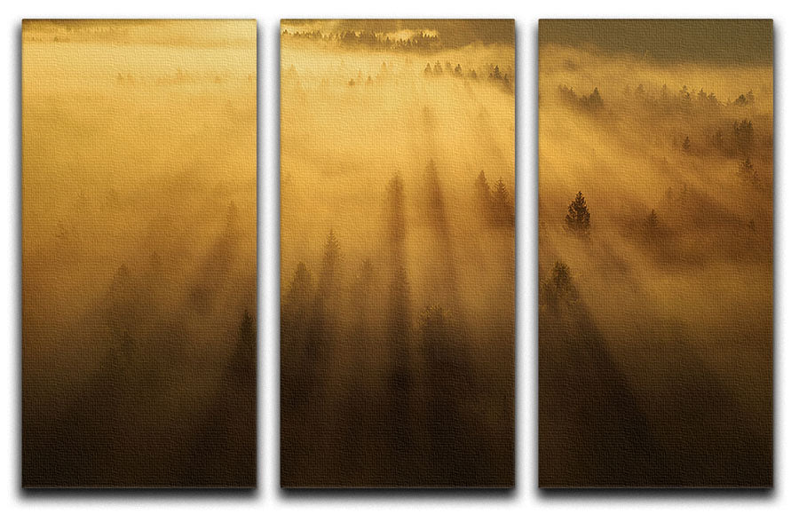 Morning In The Forest 3 Split Panel Canvas Print - Canvas Art Rocks - 1
