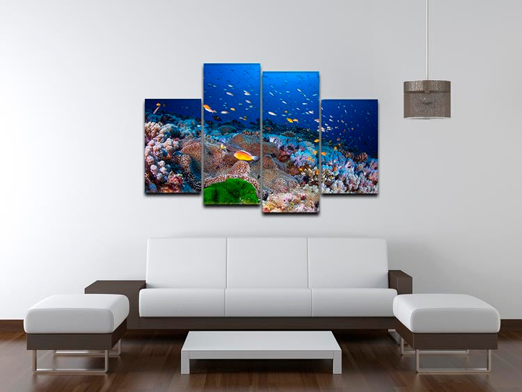 Anemon And Anthias 4 Split Panel Canvas - Canvas Art Rocks - 3