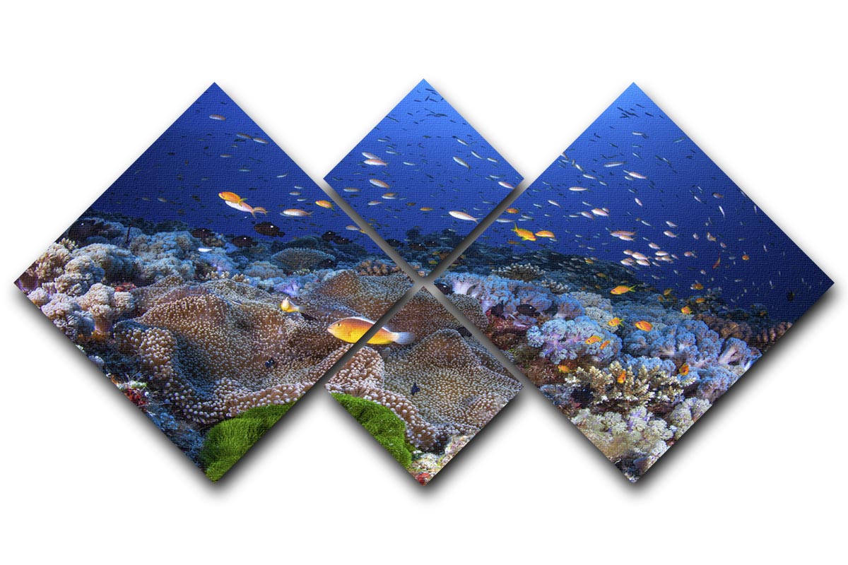 Anemon And Anthias 4 Square Multi Panel Canvas - Canvas Art Rocks - 1