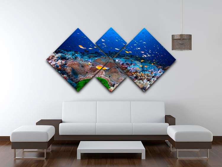 Anemon And Anthias 4 Square Multi Panel Canvas - Canvas Art Rocks - 3