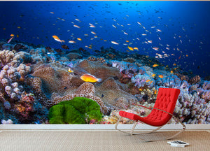 Anemon And Anthias Wall Mural Wallpaper - Canvas Art Rocks - 2