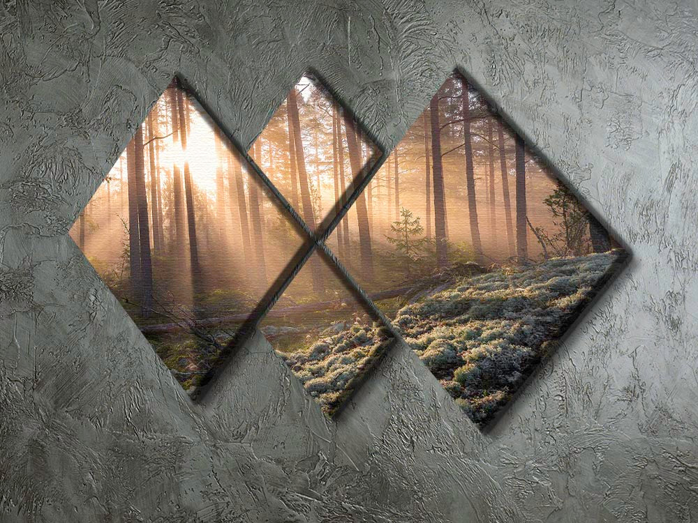 Fog In The Forest With White Moss In The Forground 4 Square Multi Panel Canvas - Canvas Art Rocks - 2