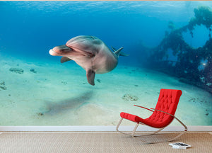 Dolphin Wall Mural Wallpaper - Canvas Art Rocks - 2