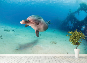 Dolphin Wall Mural Wallpaper - Canvas Art Rocks - 4