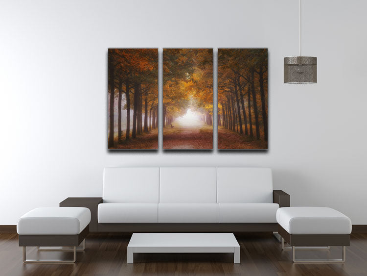 Foggy Autumn Dream 3 Split Panel Canvas Print - Canvas Art Rocks - 3