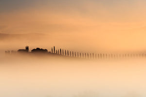 Foggy Sunrise Wall Mural Wallpaper - Canvas Art Rocks - 1