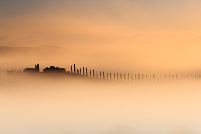 Foggy Sunrise Wall Mural Wallpaper