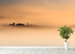 Foggy Sunrise Wall Mural Wallpaper - Canvas Art Rocks - 4