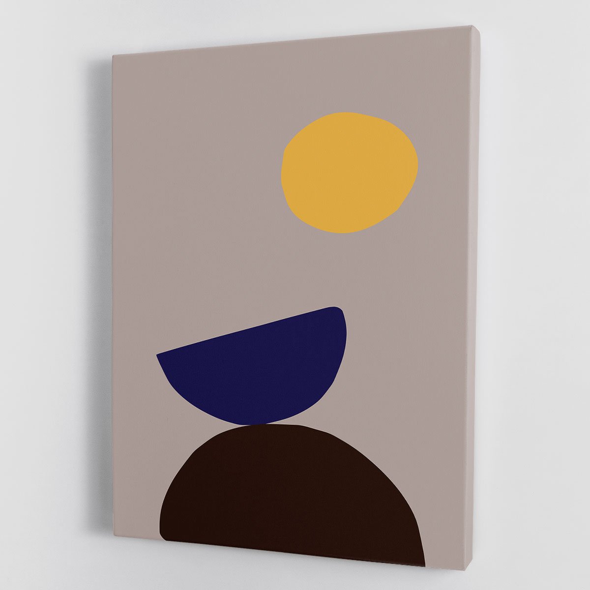 Organic Shapes 07 Canvas Print or Poster - Canvas Art Rocks - 1