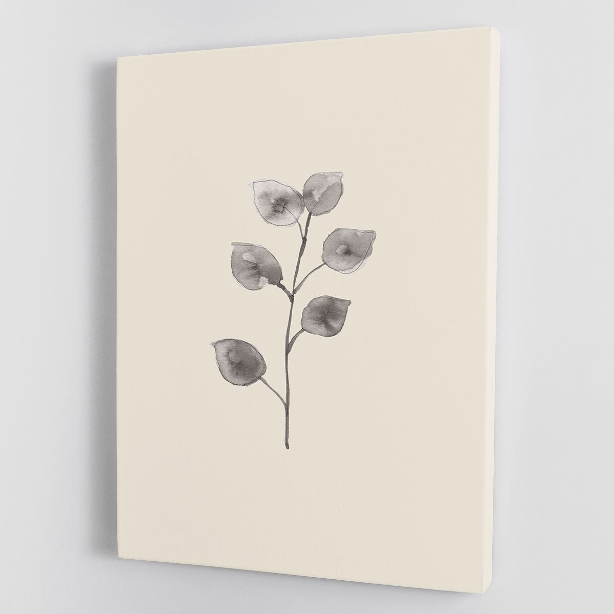 Eucalyptus Twig Canvas Print or Poster - Canvas Art Rocks - 1