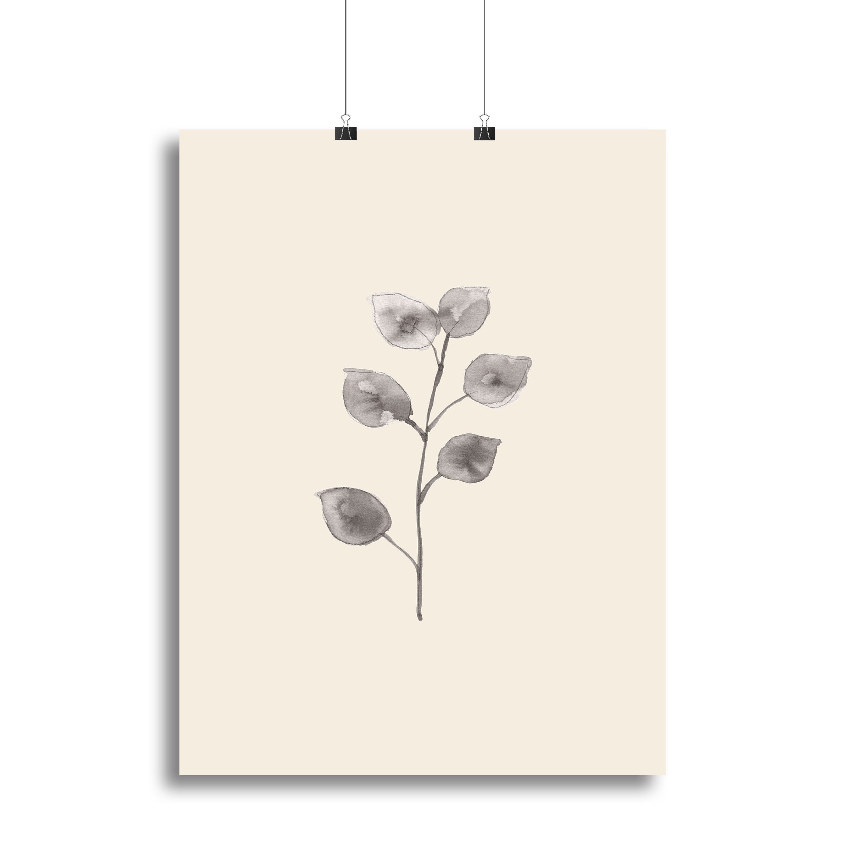 Eucalyptus Twig Canvas Print or Poster - Canvas Art Rocks - 2