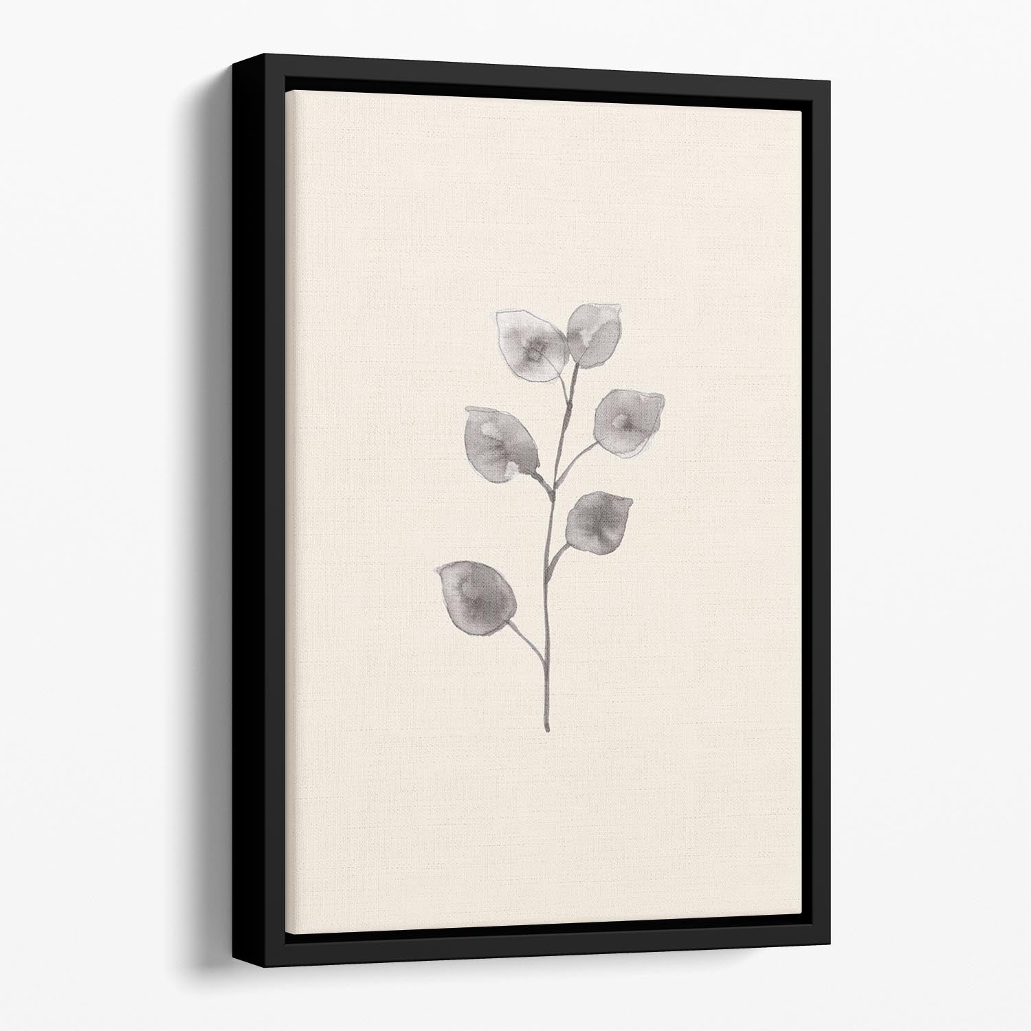 Eucalyptus Twig Floating Framed Canvas - Canvas Art Rocks - 1