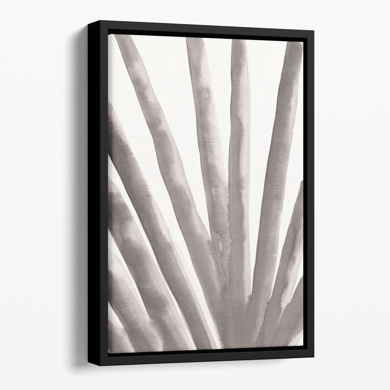 Aloe Vera Floating Framed Canvas - Canvas Art Rocks - 1