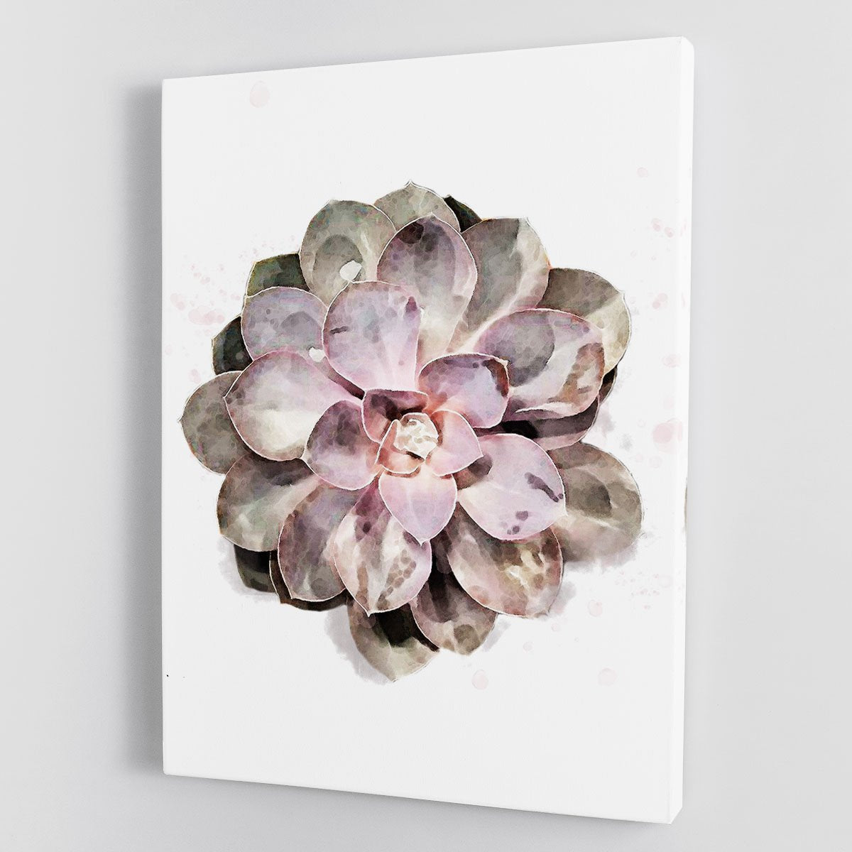 Succulent 01 Canvas Print or Poster - Canvas Art Rocks - 1