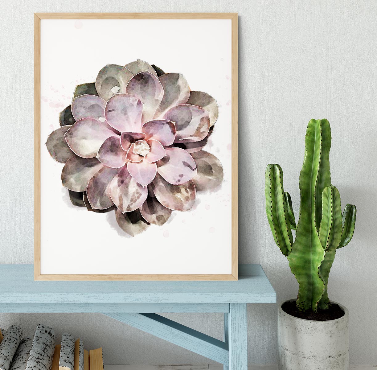 Succulent 01 Framed Print - Canvas Art Rocks - 4