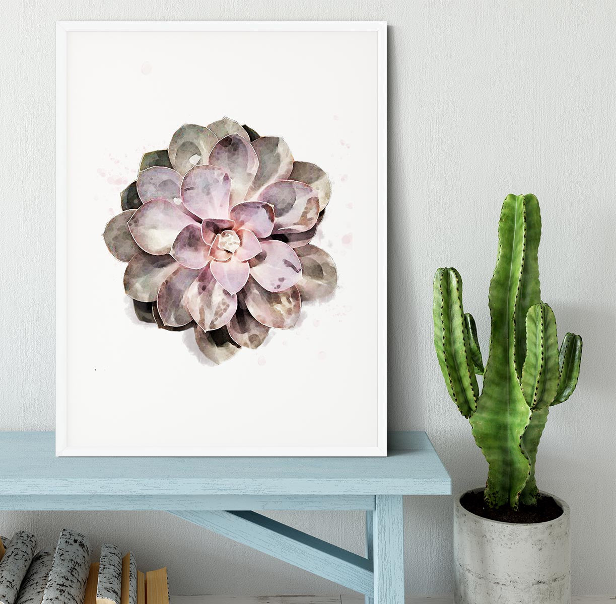 Succulent 01 Framed Print - Canvas Art Rocks - 5