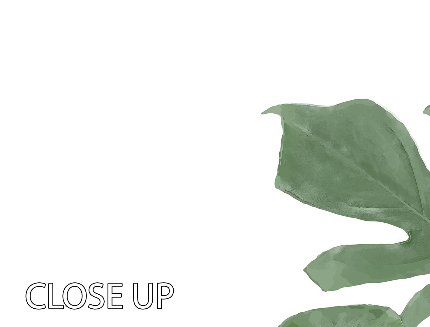 Monstera Aqua 03 3 Split Panel Canvas Print - Canvas Art Rocks - 3