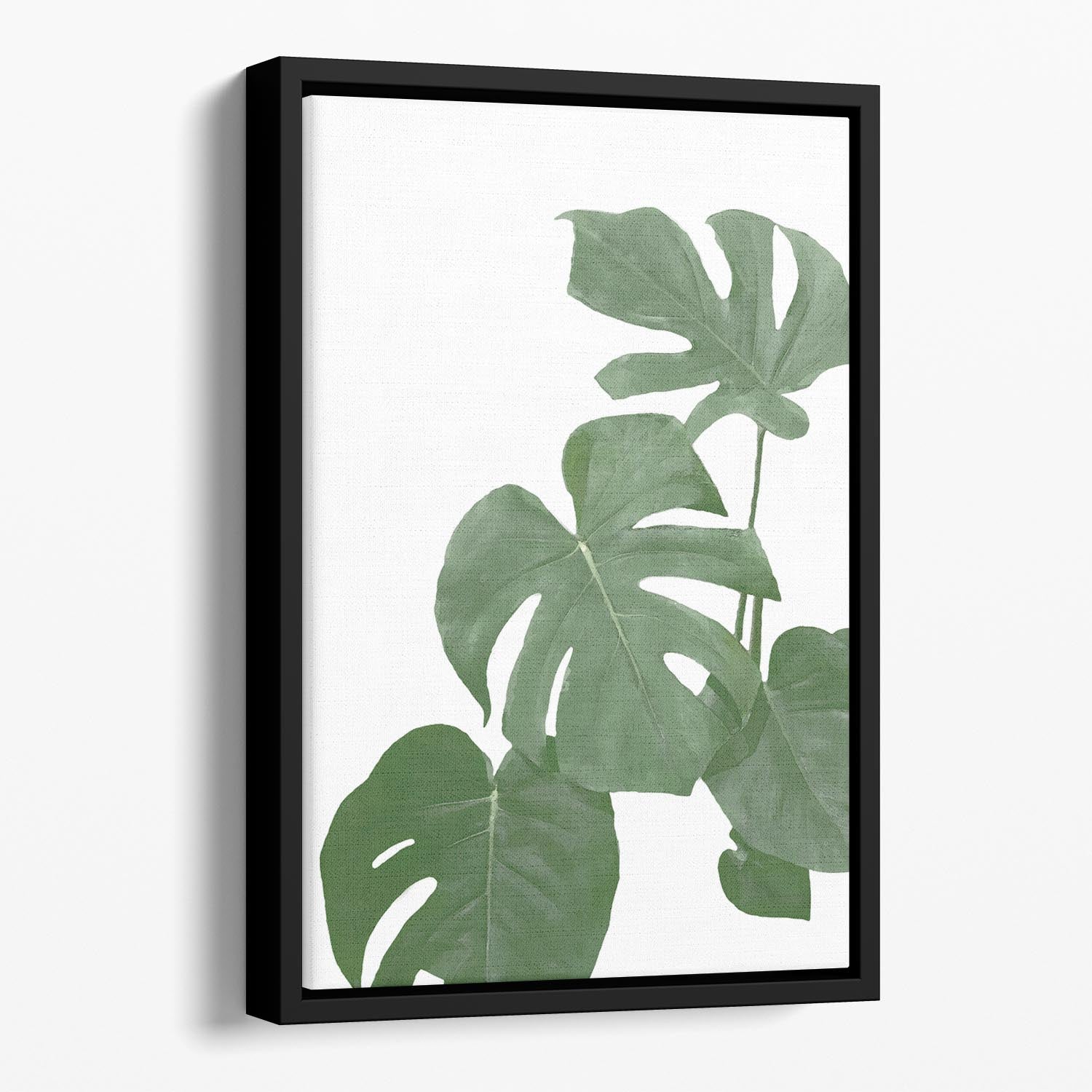 Monstera Aqua 03 Floating Framed Canvas - Canvas Art Rocks - 1