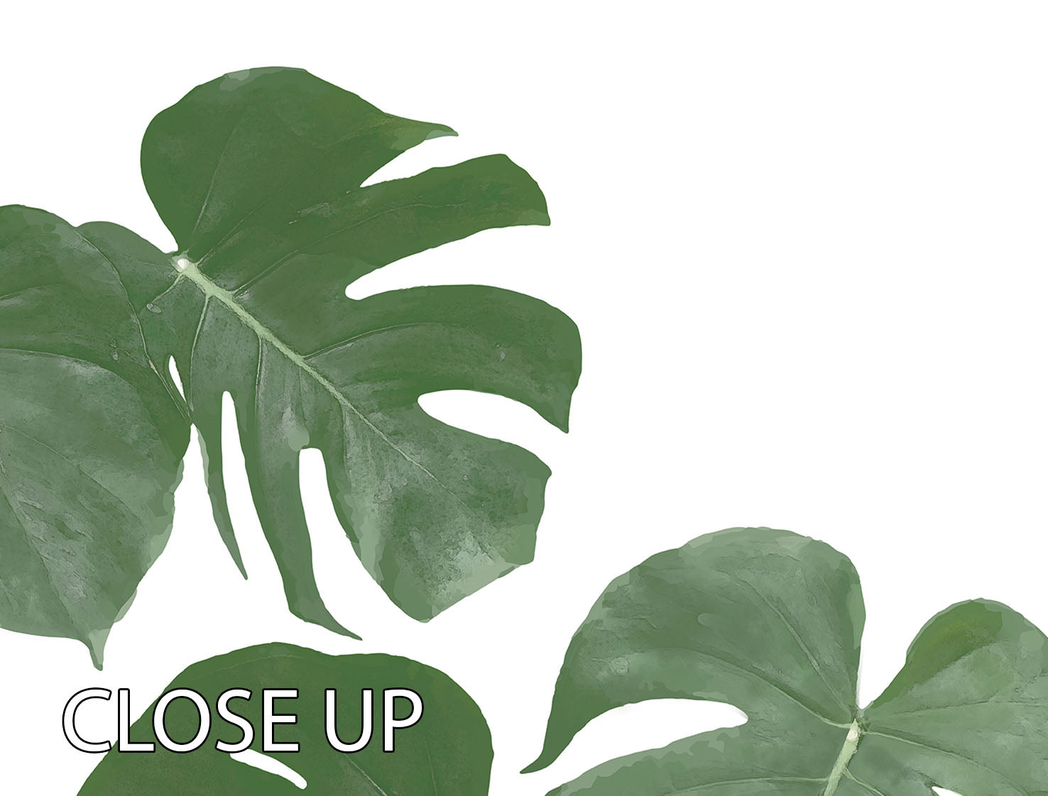 Monstera Aqua 02 3 Split Panel Canvas Print - Canvas Art Rocks - 3