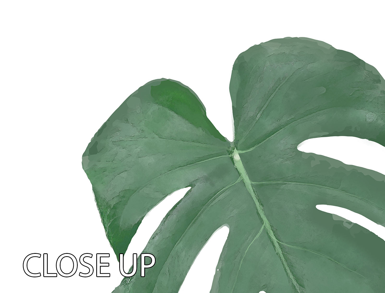 Monstera Aqua 01 3 Split Panel Canvas Print - Canvas Art Rocks - 3