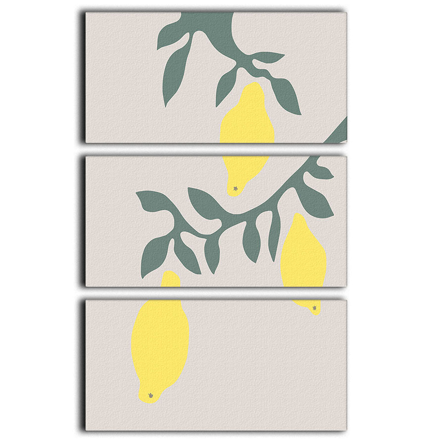 Lemons 3 Split Panel Canvas Print - Canvas Art Rocks - 1