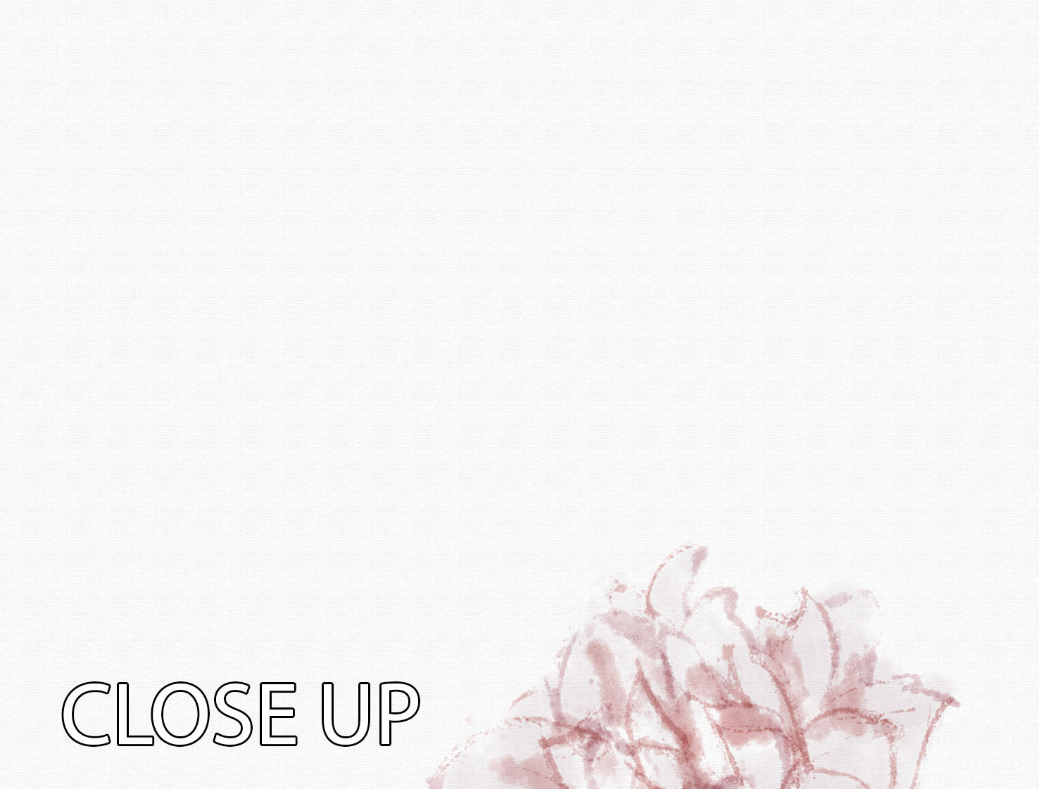 Peony 02 3 Split Panel Canvas Print - Canvas Art Rocks - 3