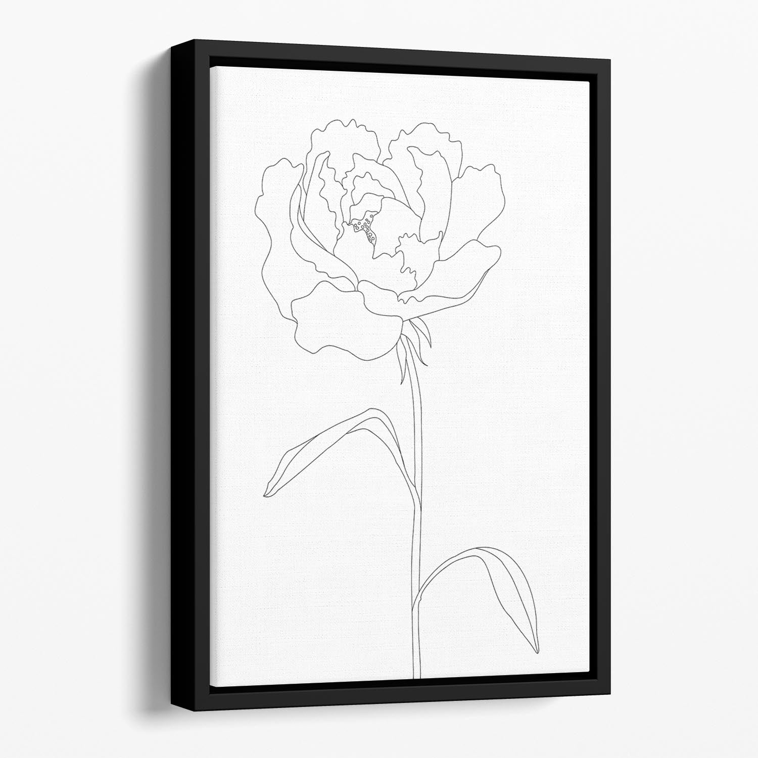 Peony Lines Floating Framed Canvas - Canvas Art Rocks - 1