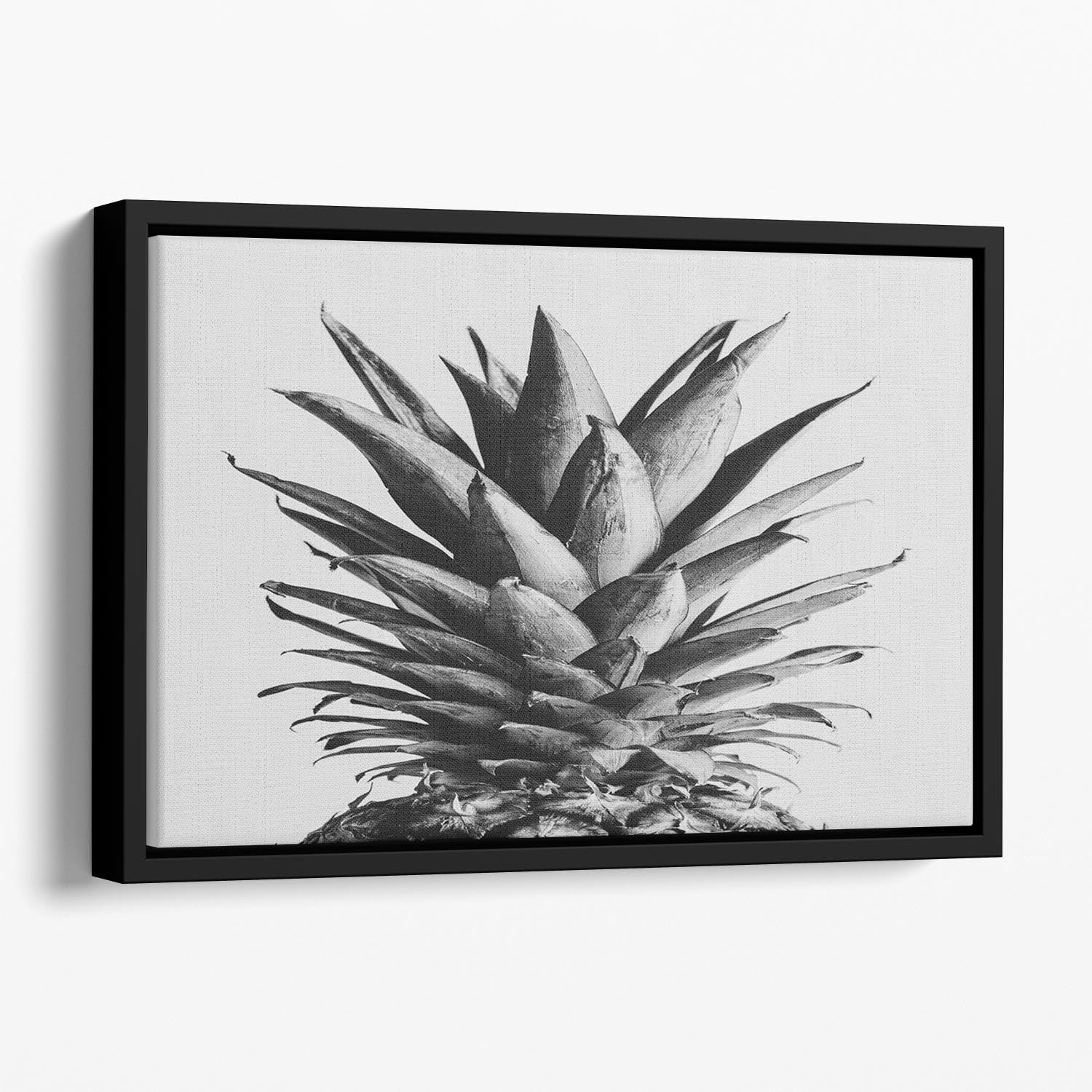 Pinapple Black a White 05 Floating Framed Canvas - Canvas Art Rocks - 1