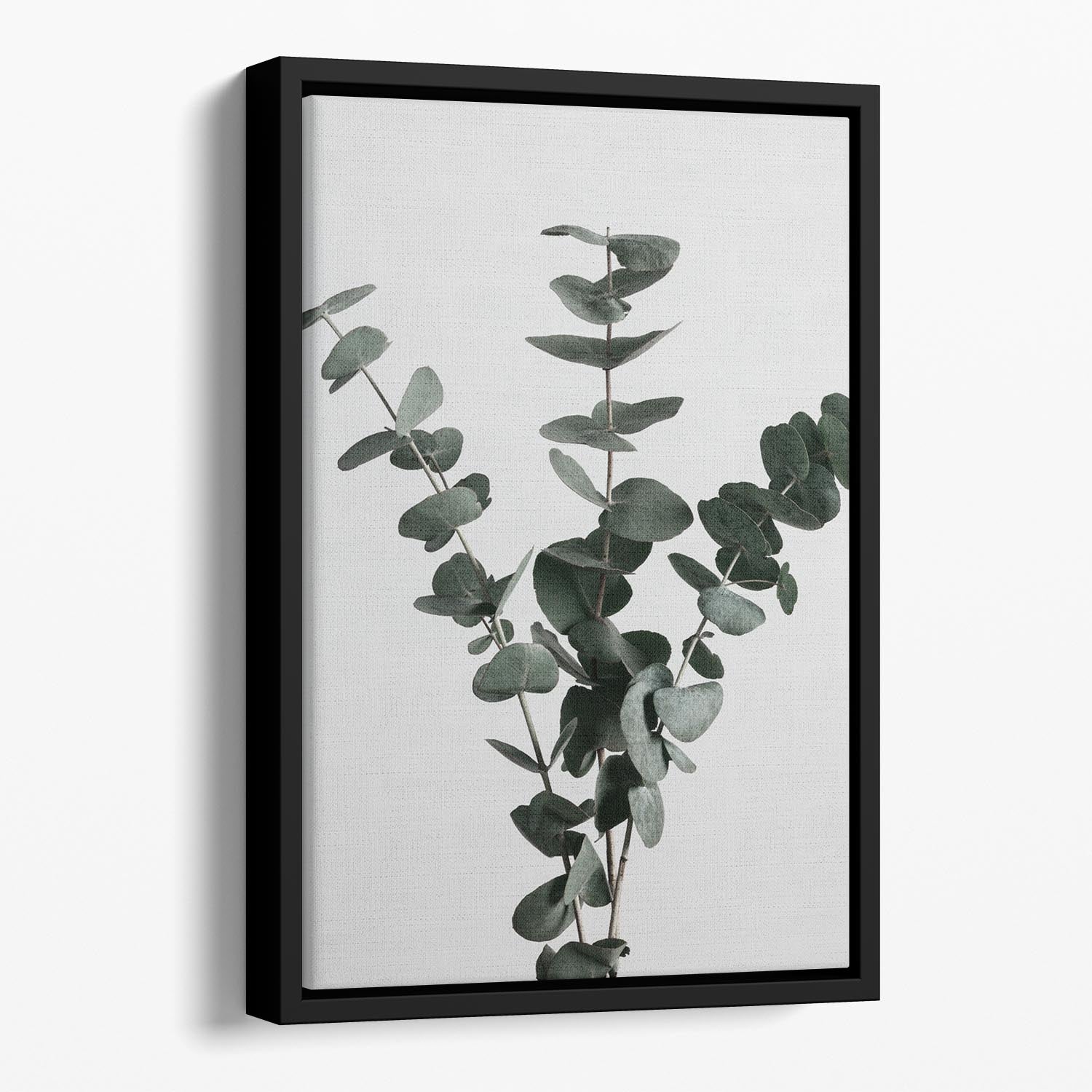 Eucalyptus Natural 01 Floating Framed Canvas - Canvas Art Rocks - 1